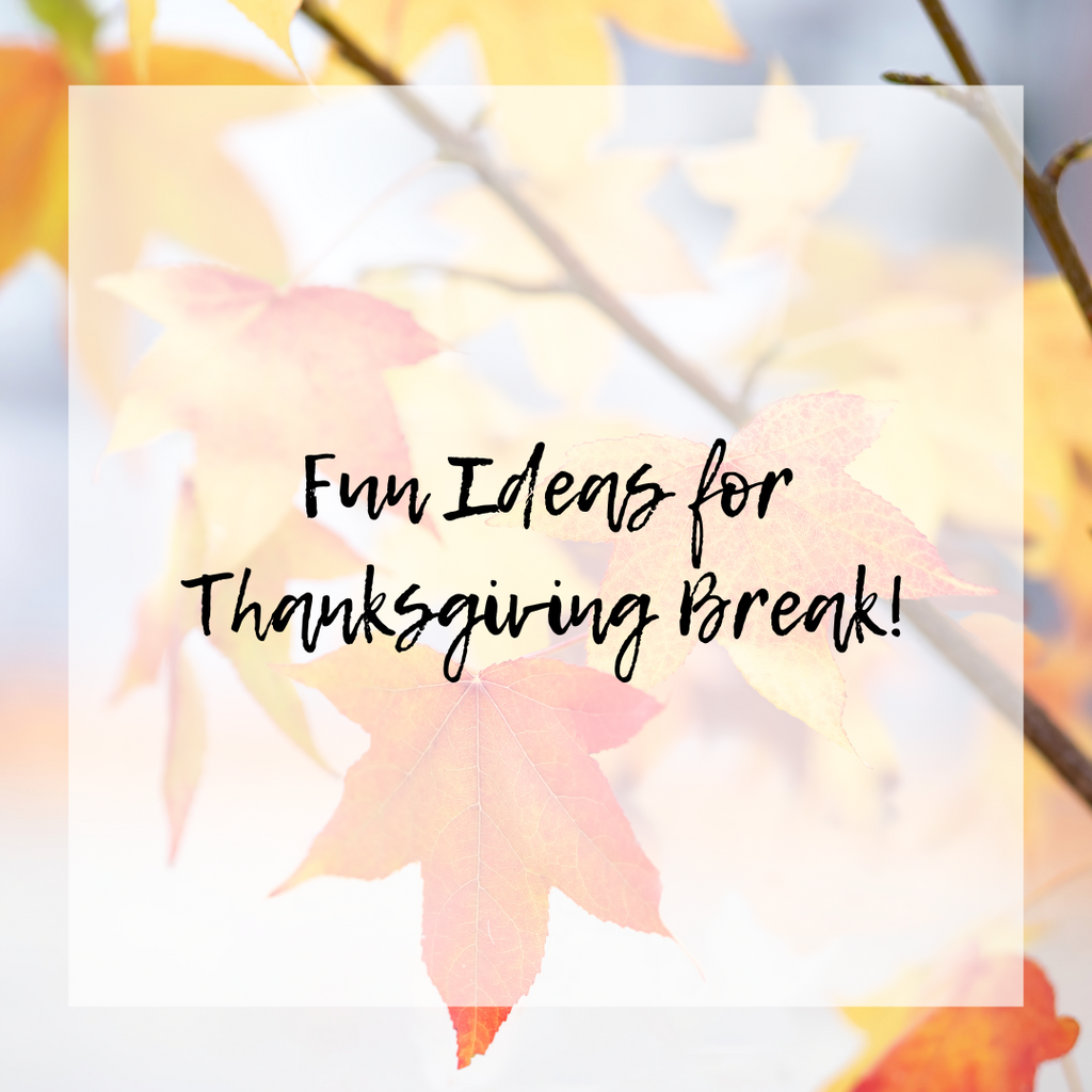 Fun Ideas for Thanksgiving Break!